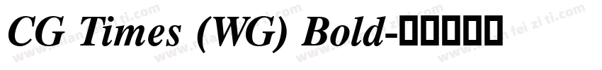 CG Times (WG) Bold字体转换